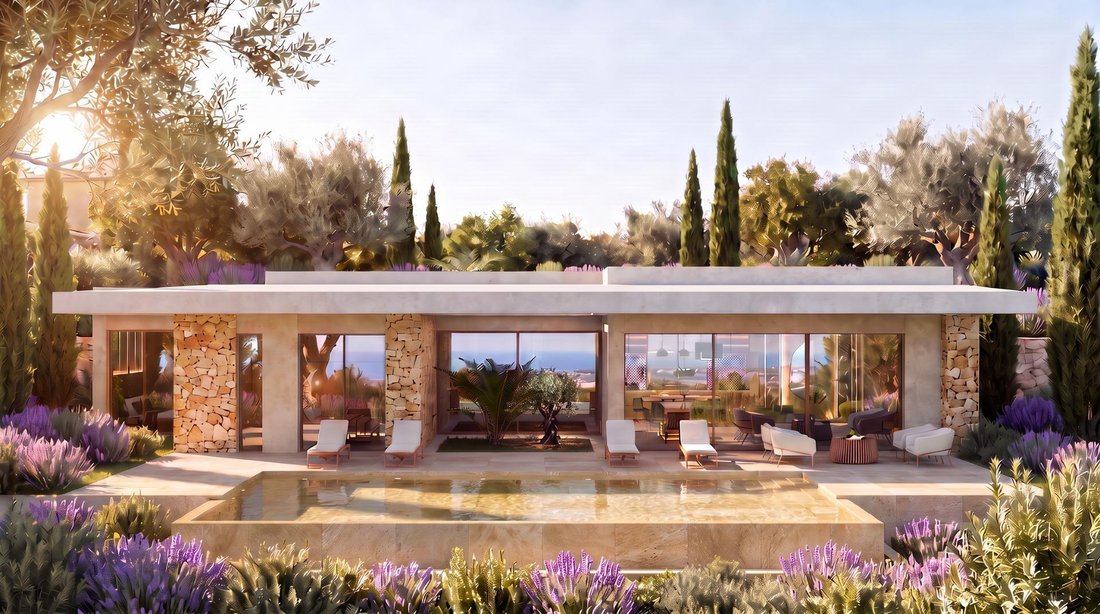 Villa in la Romana, Valencian Community, Spain 4 - 19042351