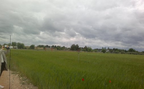 Terreno en Socuéllamos, Castilla-La Mancha, España 1
