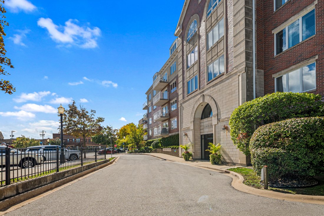 Condominio a La Grange, Illinois, Stati Uniti 2 - 19042491