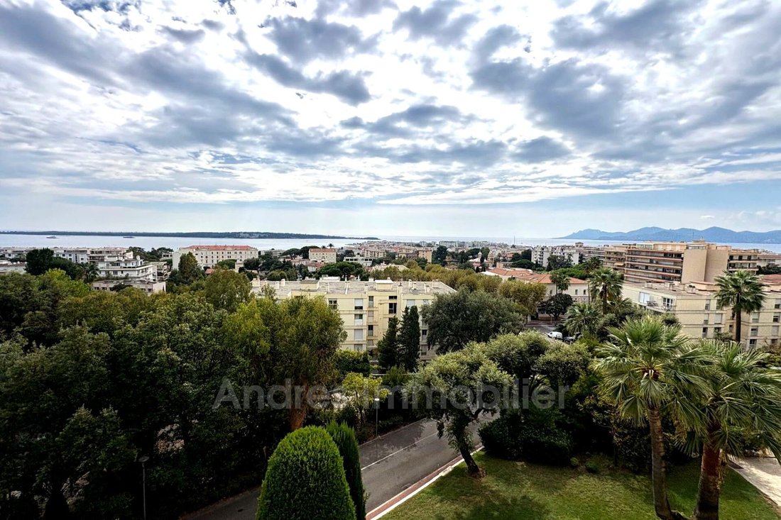 Apartment in Cannes, Provence-Alpes-Côte d'Azur, France 1 - 19042416