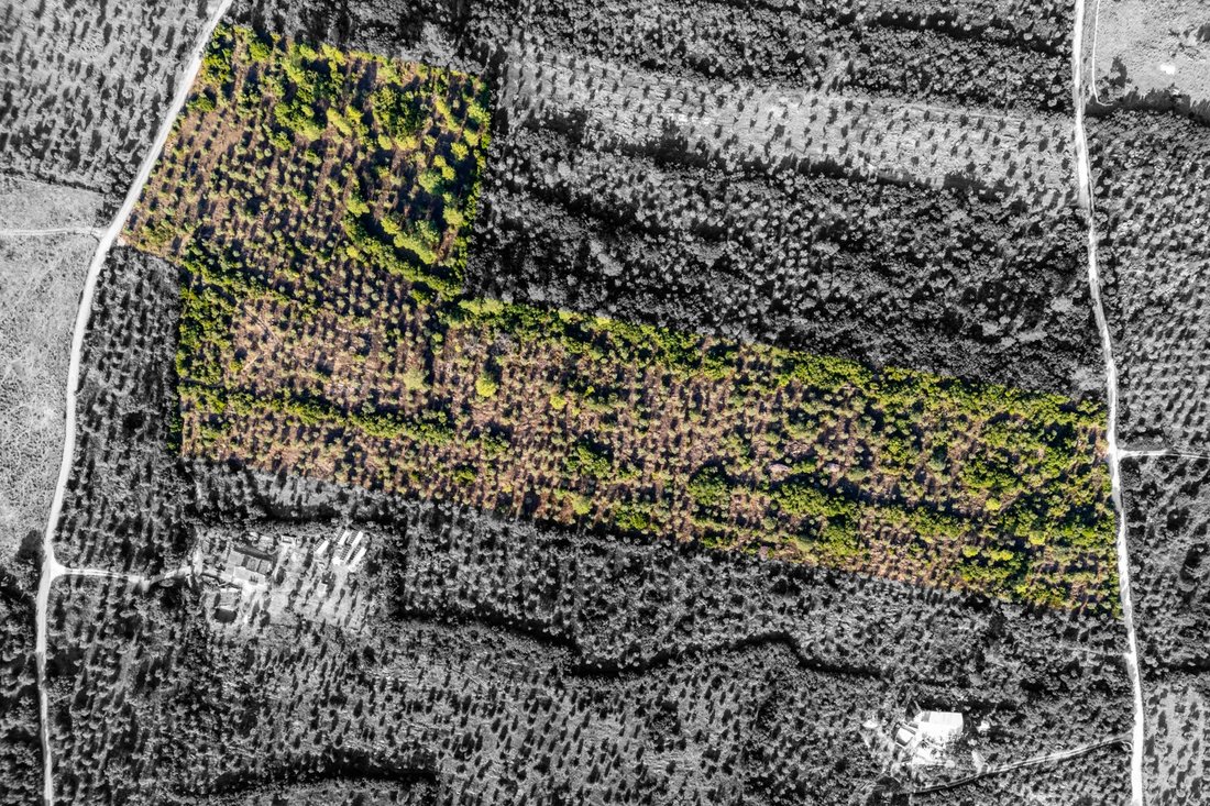 Terreno en Borba (Sao Bartolomeu), Distrito de Évora, Portugal 1 - 19042614