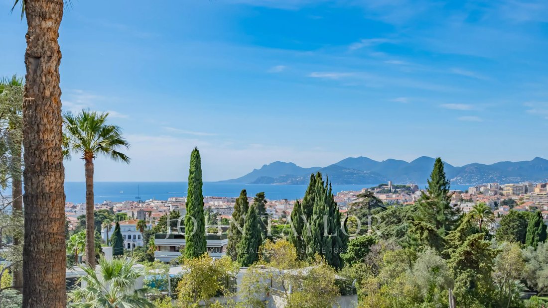 Apartment in Cannes, Provence-Alpes-Côte d'Azur, France 1 - 19042468