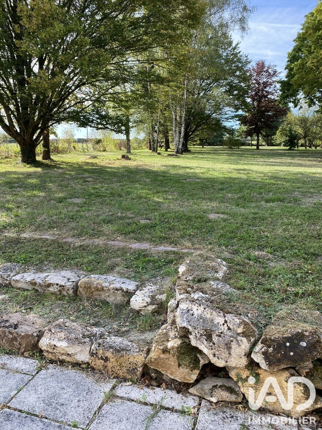 House in Beaumont-Louestault, Centre-Val de Loire, France 5 - 19043086
