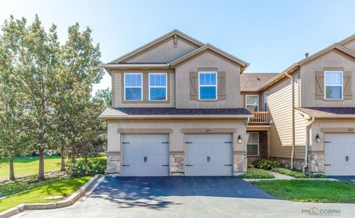 Villa in Vernon Hills, Illinois, United States 1