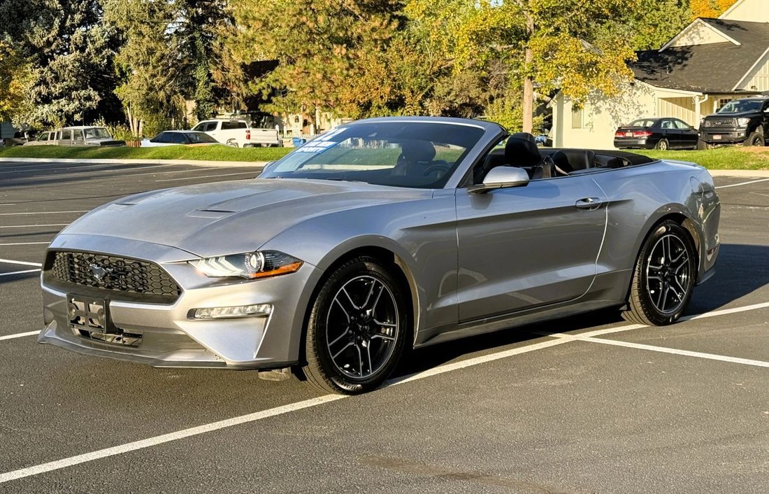 Cabriolet in Boise, ID, United States 4 - 19042825