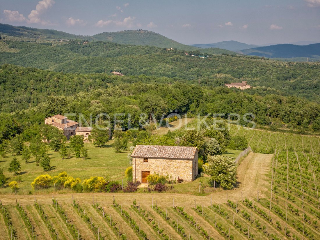 Maisons de campagne à Castelnuovo Berardenga, Toscane, Italie 5 - 18740296