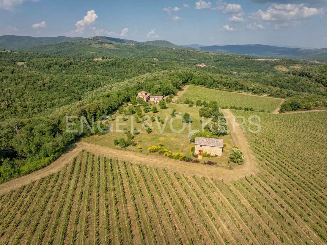 Maisons de campagne à Castelnuovo Berardenga, Toscane, Italie 4 - 18740296