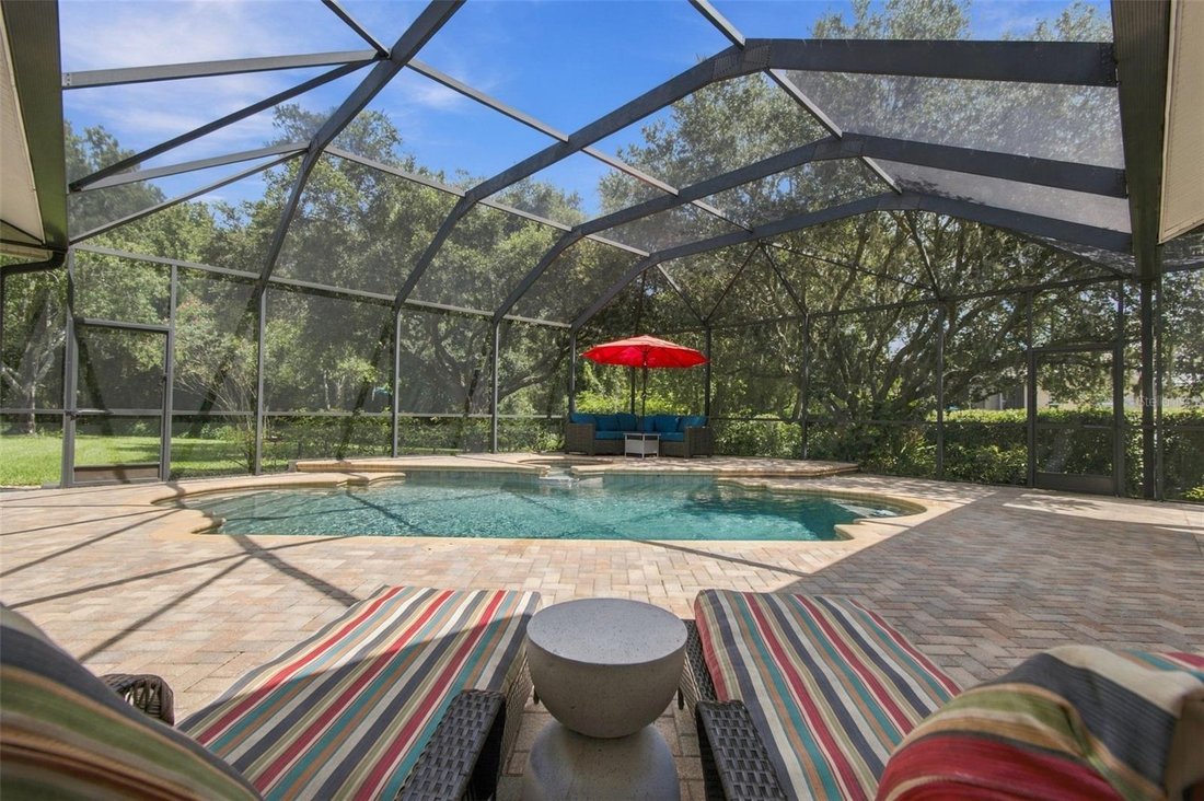 House in Odessa, Florida, United States 2 - 19043631