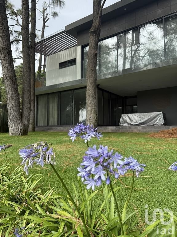 House in Palomar, Jalisco, Mexico 3 - 19044244