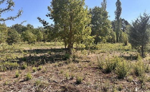 Land in Exterieurs, Cabriès, Frankreich 1
