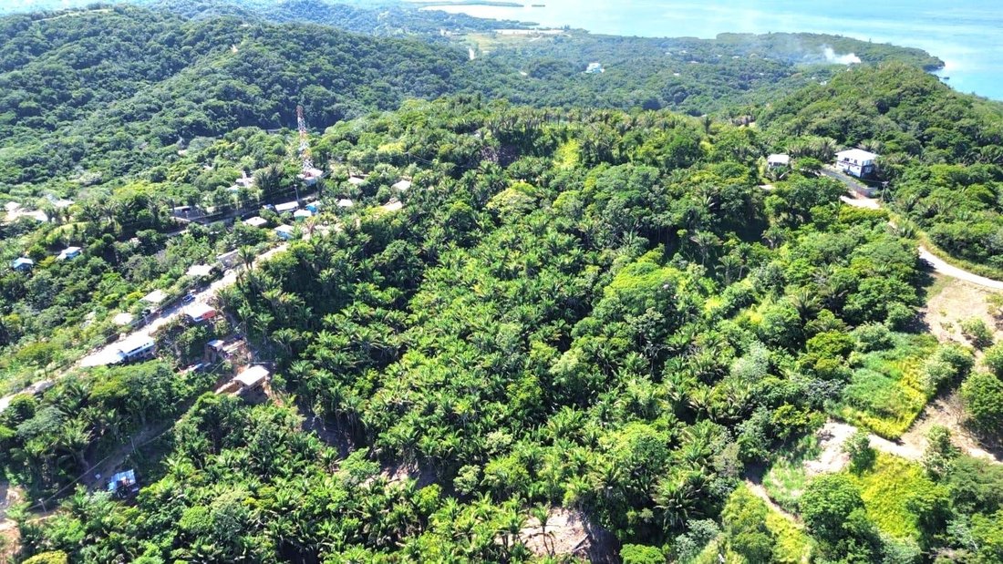 Terreno a Miami Lakes, Florida, Stati Uniti 5 - 19043317