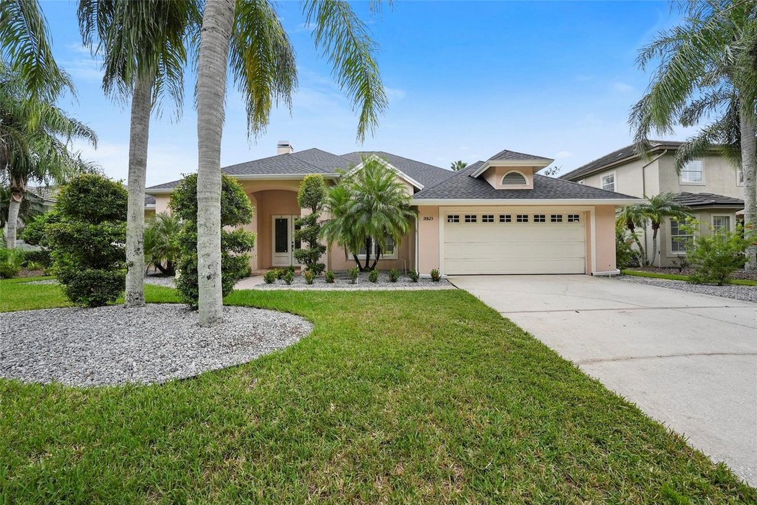 House in Land O' Lakes, Florida, United States 5 - 19043659