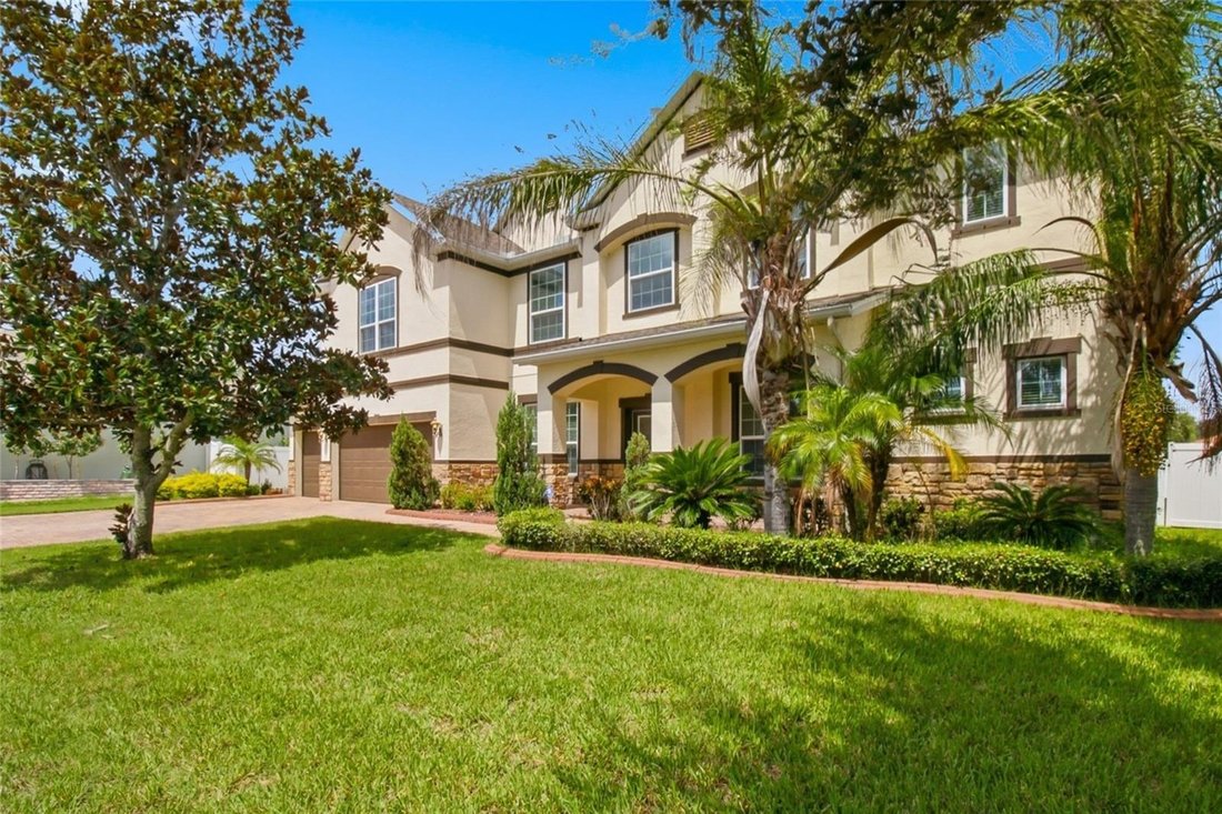 Haus in Tampa, Florida, Vereinigte Staaten 5 - 19043650