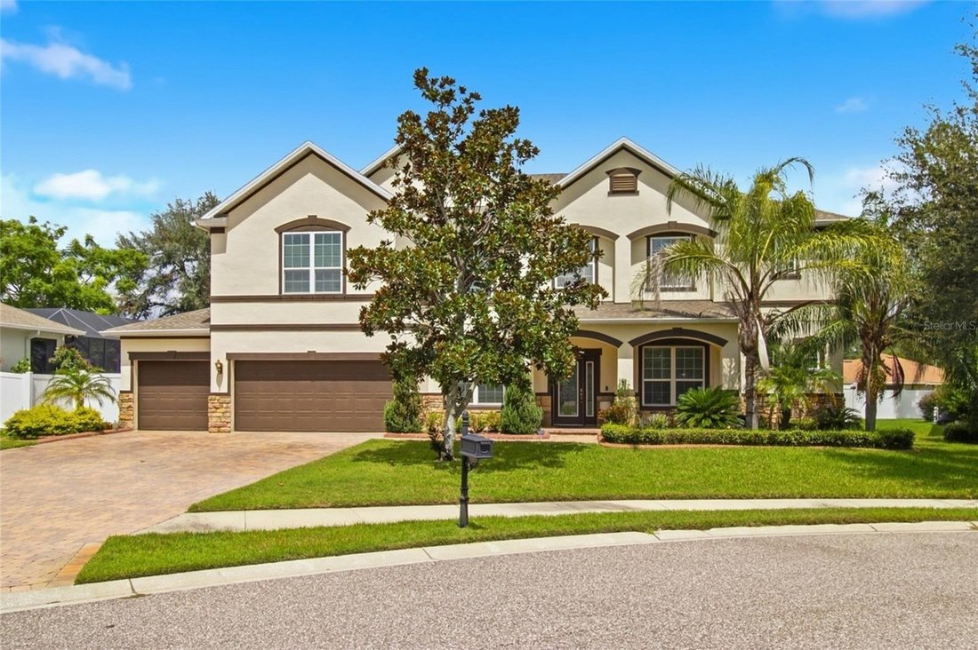 Haus in Tampa, Florida, Vereinigte Staaten 2 - 19043650