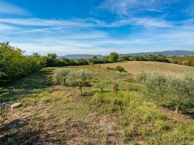 Villa in Sovicille, Toskana, Italien 5 - 19043921