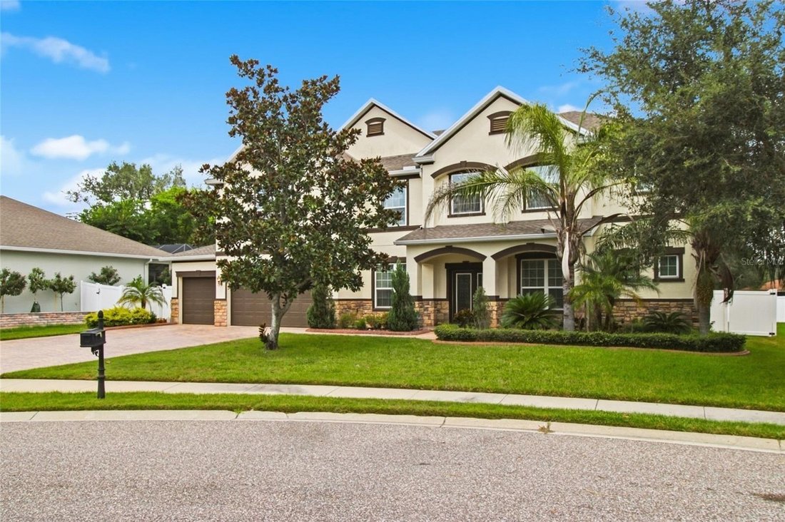 Haus in Tampa, Florida, Vereinigte Staaten 3 - 19043650