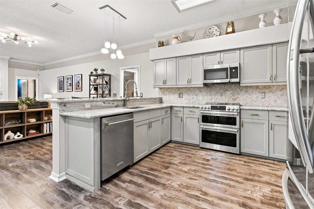 House in Odessa, Florida, United States 3 - 19043631