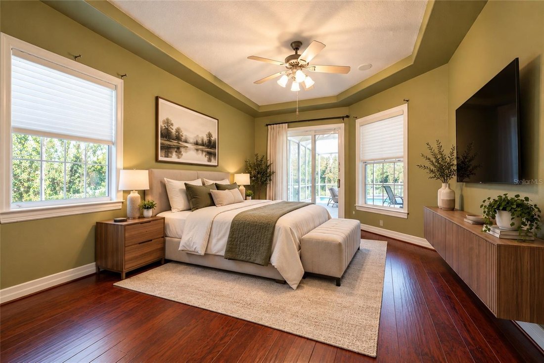 House in Land O' Lakes, Florida, United States 3 - 19043659