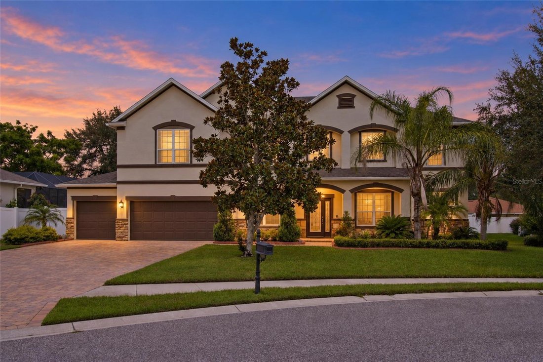 Haus in Tampa, Florida, Vereinigte Staaten 1 - 19043650