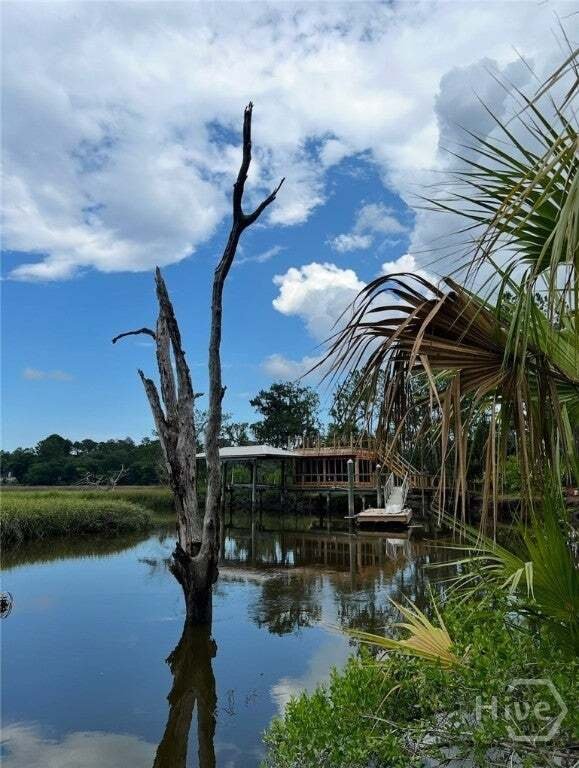 Casa en Barbour Island, Georgia, Estados Unidos 4 - 19043732