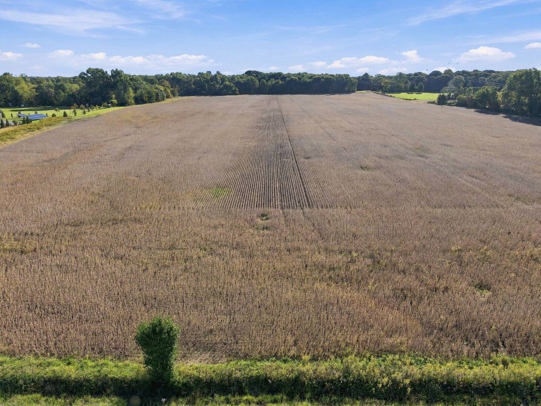 Land in Westerville, Ohio, Vereinigte Staaten 2 - 19043611