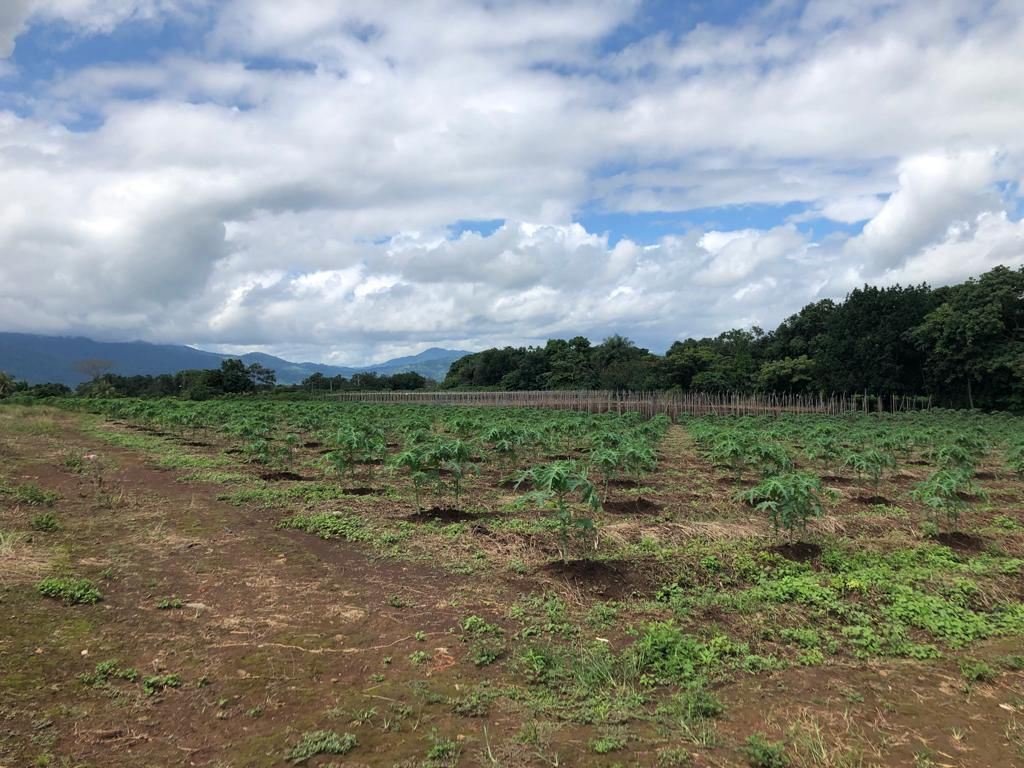 Land in Orotina, Guanacaste Province, Costa Rica 3 - 19044764