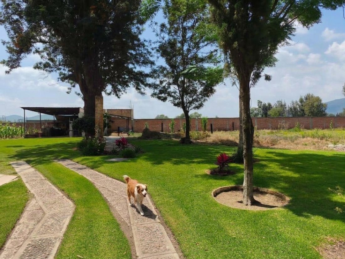 Country House in Valle de Santa Cruz, Jalisco, Mexico 4 - 19044541