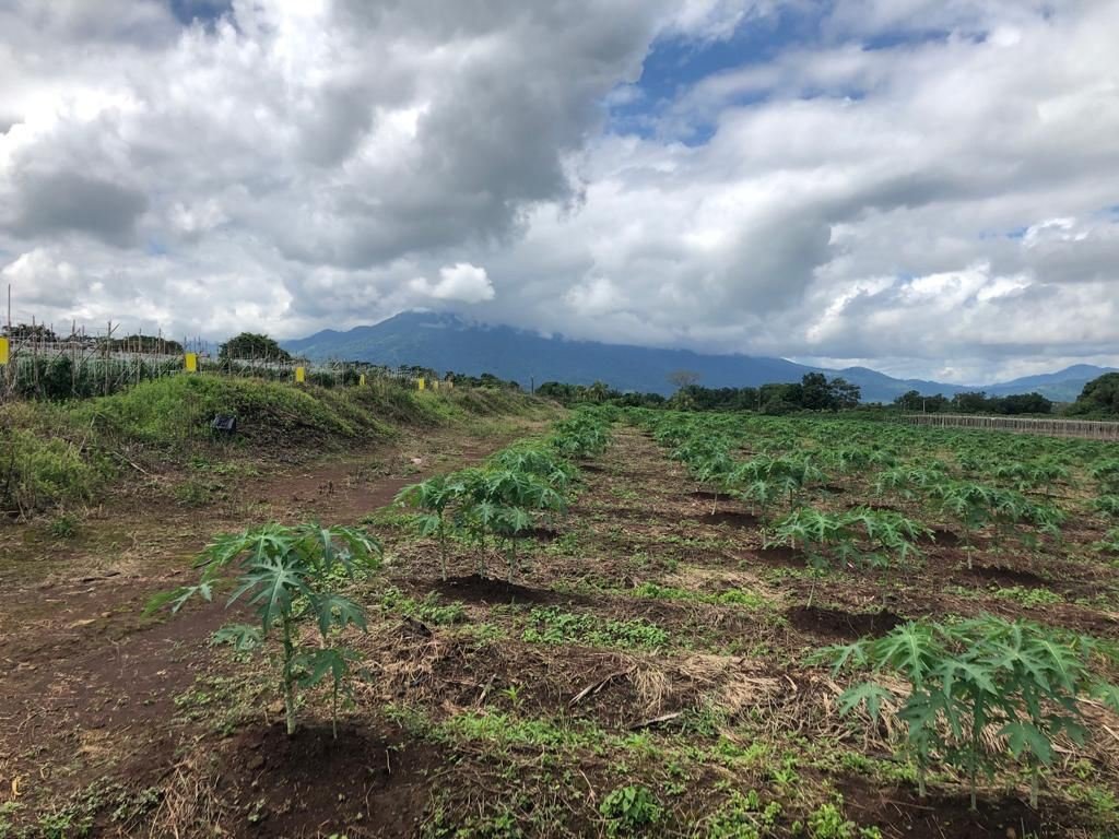 Land in Orotina, Guanacaste Province, Costa Rica 5 - 19044764