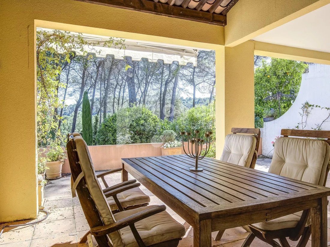 Villa in La Roquette-sur-Siagne, Provence-Alpes-Côte d'Azur, France 1 - 19044535