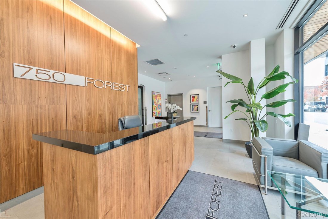 Condominio en Birmingham, Míchigan, Estados Unidos 2 - 19047448