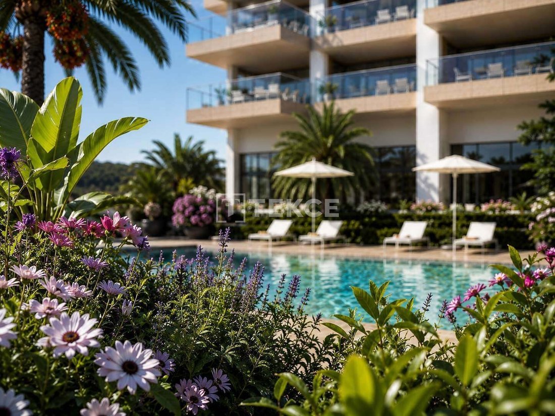 Penthouse in la Vila Joiosa / Villajoyosa, Valencian Community, Spain 2 - 19046650