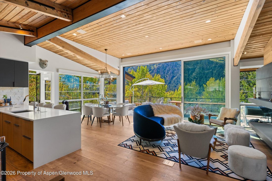 Maison à Aspen, Colorado, États-Unis 4 - 19047223