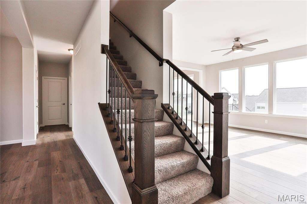 House in O'Fallon, Missouri, United States 5 - 19045876