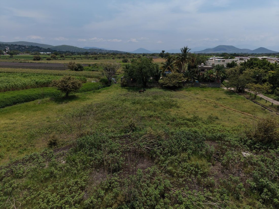 Land in Emiliano Zapata, Morelos, Mexico 3 - 19045083