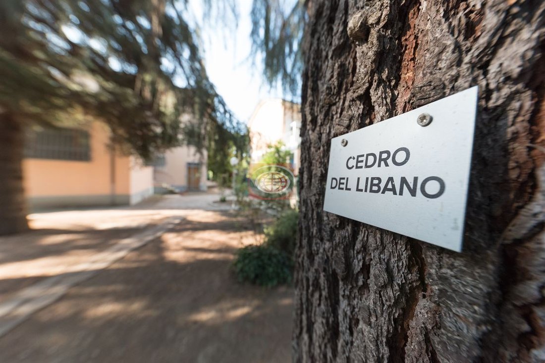 Villa en Centro, Cesena, Emilia-Romaña 5 - 19045583