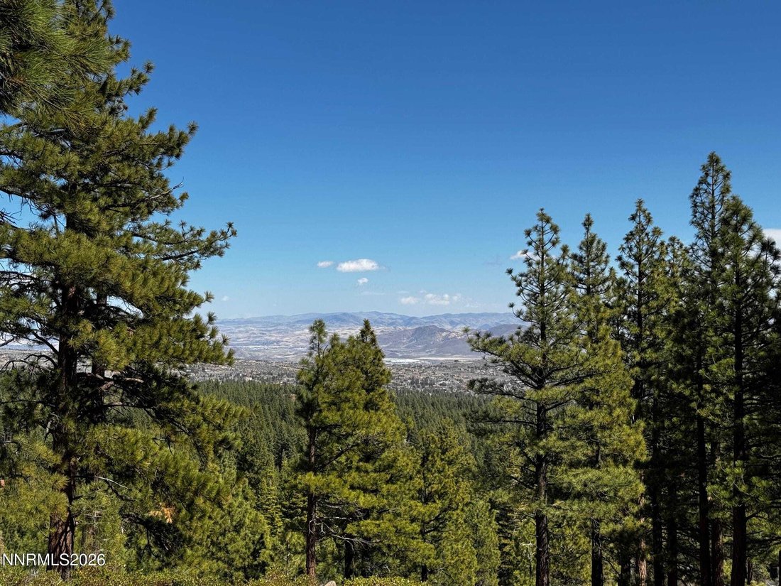 Terreno en Reno, Nevada, Estados Unidos 1 - 19047941