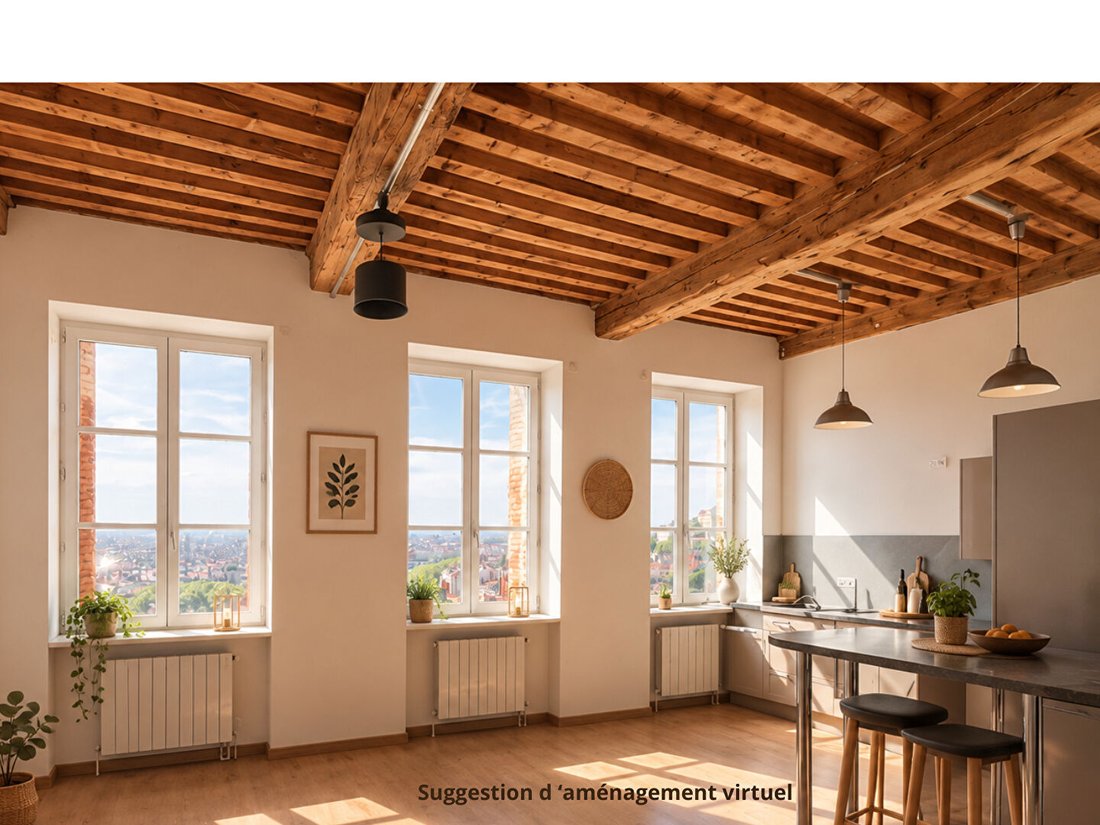 Appartement à Plateau de la Croix Rousse-Ouest, Lyon 4e Arrondissement, Lyon 2 - 19044912