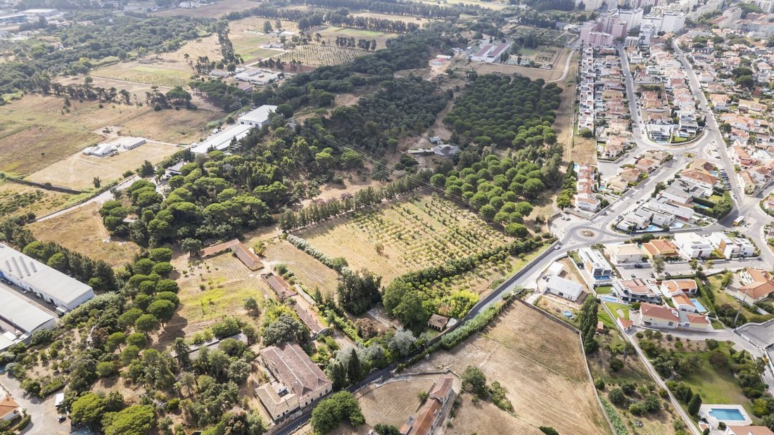 Country House in Setubal, Setubal, Portugal 5 - 19048885