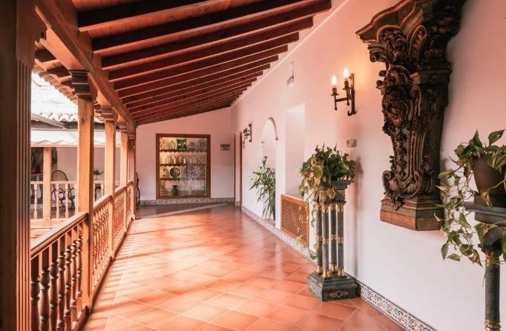 Villa in Santa Cruz de Mudela, Castile-La Mancha, Spain 3 - 19047139