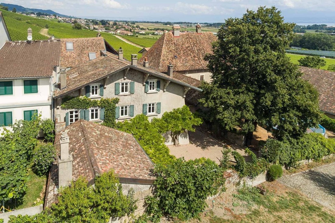 House in Luins, Vaud, Switzerland 1 - 19048446