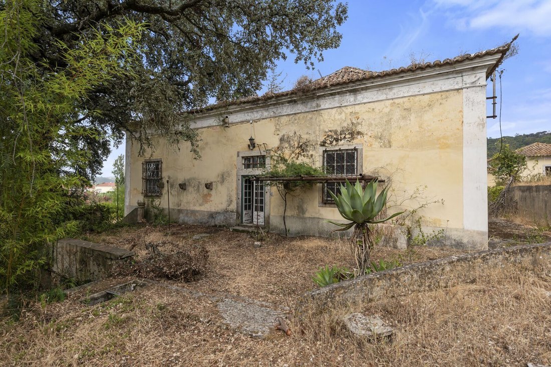 Country House in Setubal, Setubal, Portugal 4 - 19048885