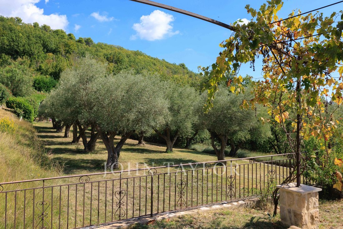 House in Tourrettes-sur-Loup, Provence-Alpes-Côte d'Azur, France 4 - 19047041