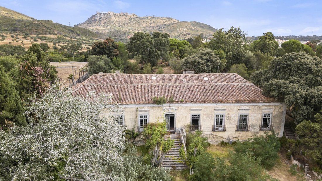 Country House in Setubal, Setubal, Portugal 3 - 19048885