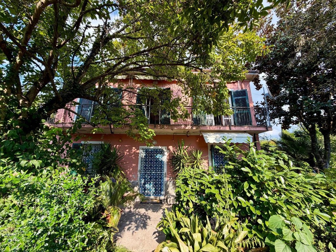 Villa in Stadium - Sant'Antonio - Marasio, Marina di Carrara, Tuscany 2 - 19046377
