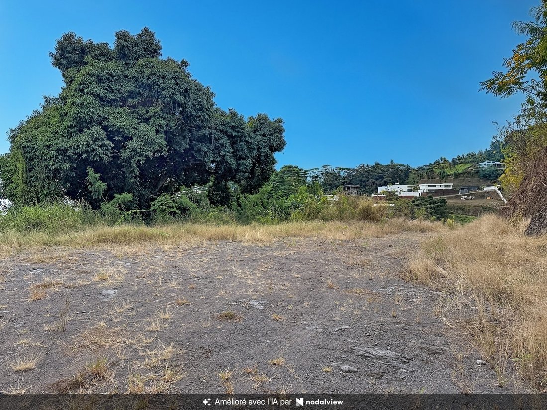 Land in Faa'a, Inseln über dem Winde, Französisch-Polynesien 1 - 18773702