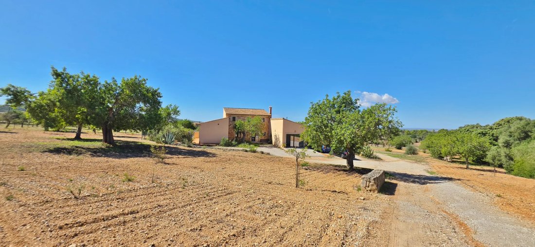 Finca in Felanitx, Balearic Islands, Spain 3 - 19045969