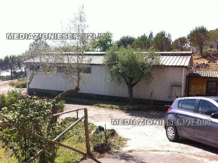 Azienda agricola a Mascali, Sicilia, Italia 4 - 19048499