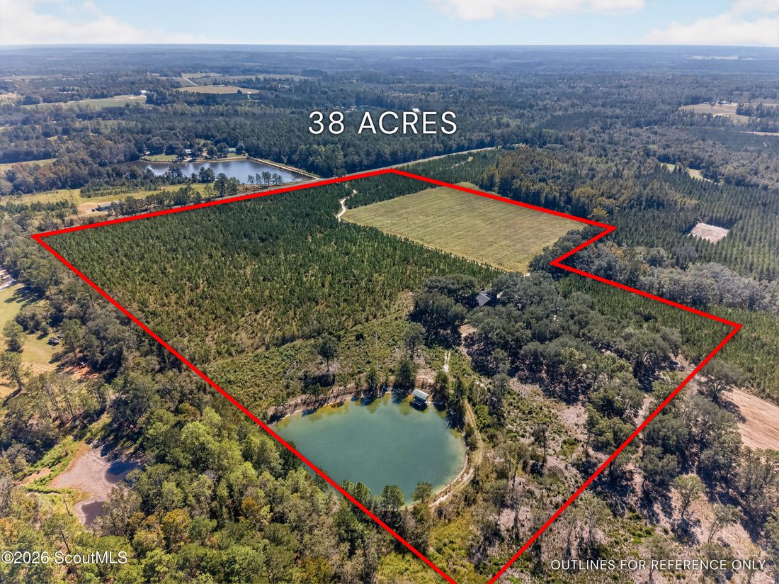 House in Baxley, Georgia, United States 3 - 19047604