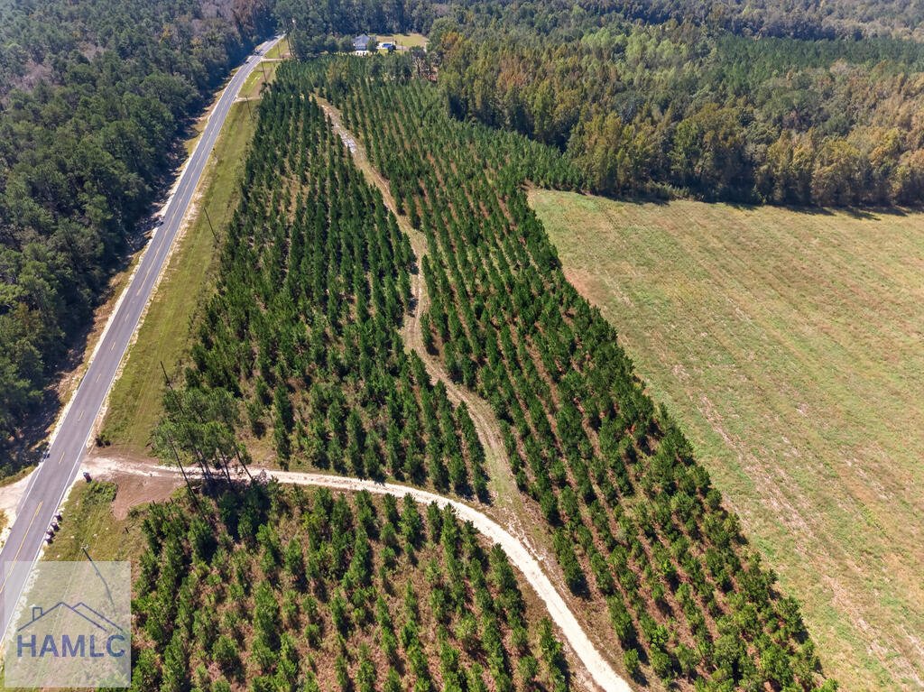 House in Baxley, Georgia, United States 5 - 19047593