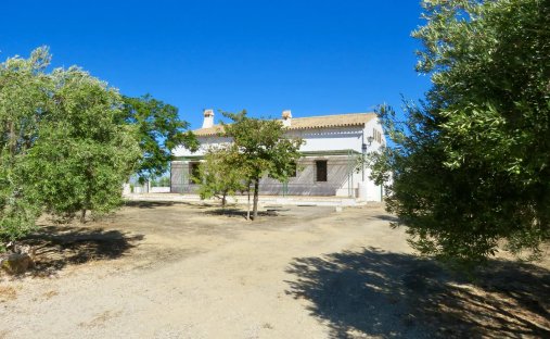 Country House in Osuna, Andalusia, Spain 1